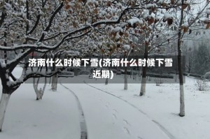 济南什么时候下雪(济南什么时候下雪近期)