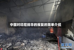 中国对印尼排华的报复的简单介绍