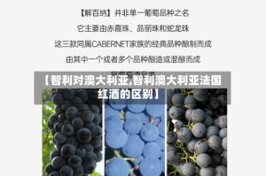 【智利对澳大利亚,智利澳大利亚法国红酒的区别】