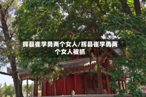 辉县崔学勇两个女人/辉县崔学勇两个女人被抓