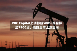 RBC Capital上调标普500年终目标至7900点，看好后市上涨空间
