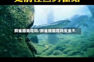 鳄雀鳝能吃吗/鳄雀鳝能吃吗安全不