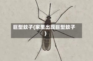 巨型蚊子(家里出现巨型蚊子)