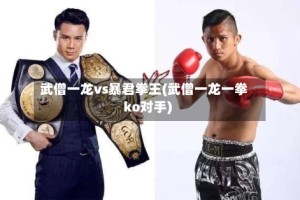 武僧一龙vs暴君拳王(武僧一龙一拳ko对手)