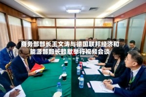 商务部部长王文涛与德国联邦经济和能源部部长赖歇举行视频会谈