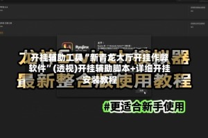 开挂辅助工具“新青龙大厅开挂作弊软件”(透视)开挂辅助脚本+详细开挂安装教程