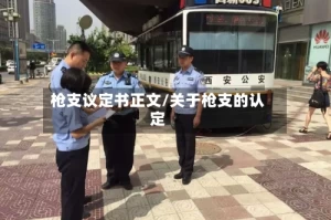 枪支议定书正文/关于枪支的认定