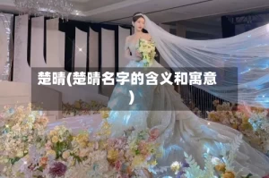 楚晴(楚晴名字的含义和寓意)