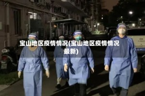 宝山地区疫情情况(宝山地区疫情情况最新)