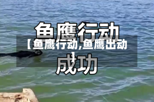 【鱼鹰行动,鱼鹰出动】