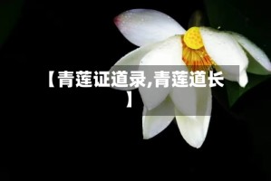 【青莲证道录,青莲道长】