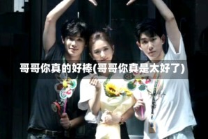 哥哥你真的好棒(哥哥你真是太好了)