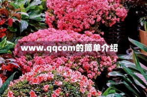 www.qqcom的简单介绍