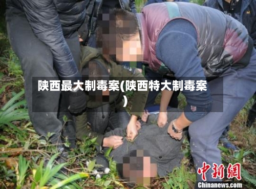 陕西最大制毒案(陕西特大制毒案)-第3张图片