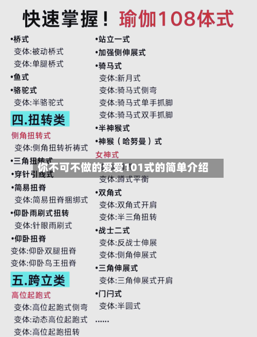 你不可不做的爱爱101式的简单介绍-第1张图片