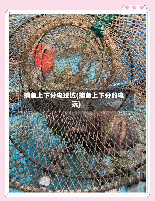 捕鱼上下分电玩城(捕鱼上下分的电玩)-第3张图片