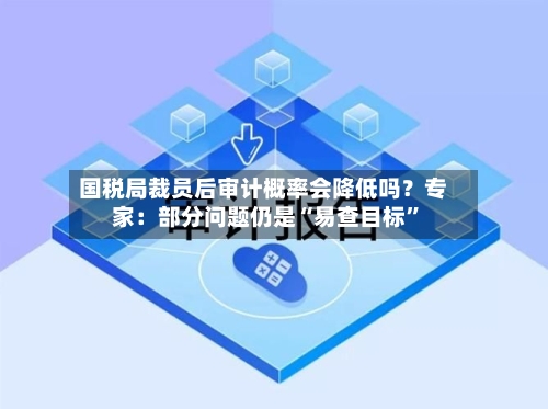 国税局裁员后审计概率会降低吗？专家：部分问题仍是“易查目标”-第3张图片
