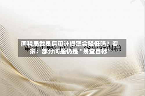 国税局裁员后审计概率会降低吗？专家：部分问题仍是“易查目标	”-第2张图片