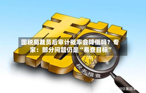 国税局裁员后审计概率会降低吗？专家：部分问题仍是“易查目标”-第1张图片