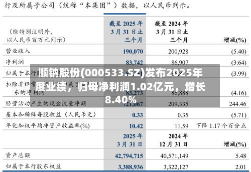 顺钠股份(000533.SZ)发布2025年度业绩，归母净利润1.02亿元	，增长8.40%-第1张图片