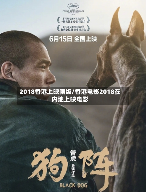 2018香港上映限级/香港电影2018在内地上映电影-第2张图片