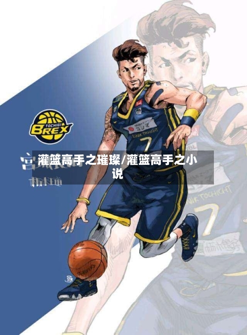 灌篮高手之璀璨/灌篮高手之小说-第1张图片