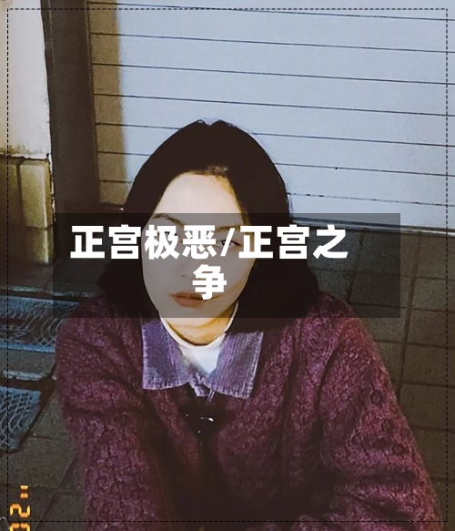 正宫极恶/正宫之争-第1张图片