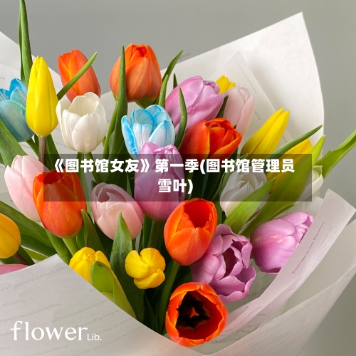 《图书馆女友》第一季(图书馆管理员雪叶)-第3张图片