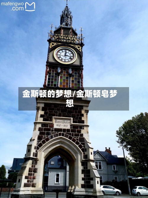 金斯顿的梦想/金斯顿皂梦想-第1张图片