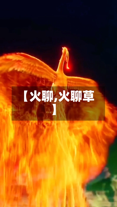 【火聊,火聊草】-第1张图片