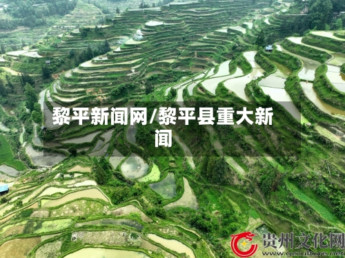 黎平新闻网/黎平县重大新闻-第1张图片