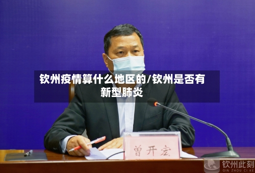 钦州疫情算什么地区的/钦州是否有新型肺炎-第2张图片