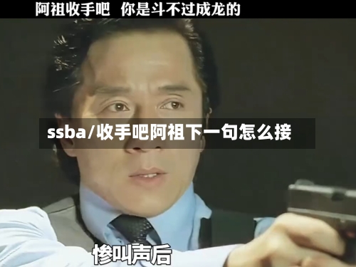 ssba/收手吧阿祖下一句怎么接-第2张图片