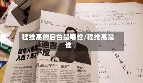 程维高的后台是哪位/程维高是谁-第1张图片