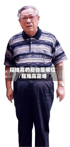 程维高的后台是哪位/程维高是谁-第2张图片