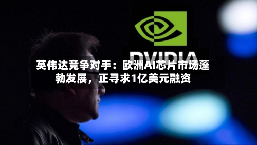 英伟达竞争对手：欧洲AI芯片市场蓬勃发展，正寻求1亿美元融资-第3张图片