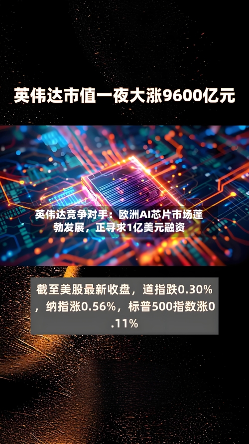 英伟达竞争对手：欧洲AI芯片市场蓬勃发展	，正寻求1亿美元融资-第1张图片