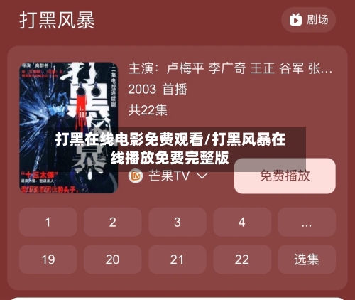 打黑在线电影免费观看/打黑风暴在线播放免费完整版-第1张图片