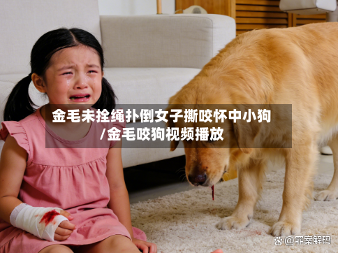 金毛未拴绳扑倒女子撕咬怀中小狗/金毛咬狗视频播放-第2张图片