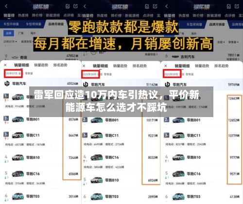 雷军回应造10万内车引热议，平价新能源车怎么选才不踩坑-第1张图片