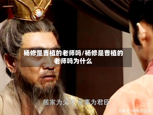 杨修是曹植的老师吗/杨修是曹植的老师吗为什么-第2张图片