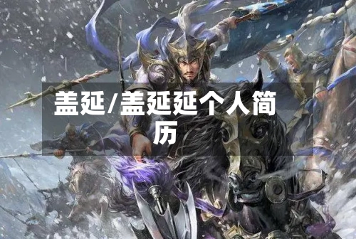 盖延/盖延延个人简历-第2张图片