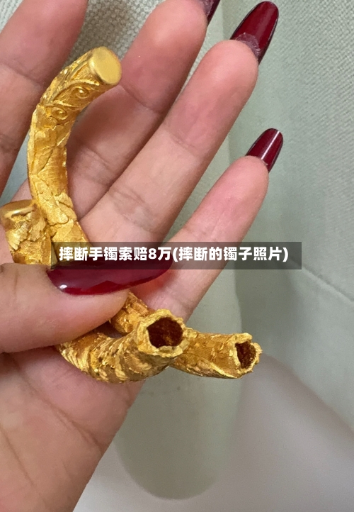 摔断手镯索赔8万(摔断的镯子照片)-第2张图片