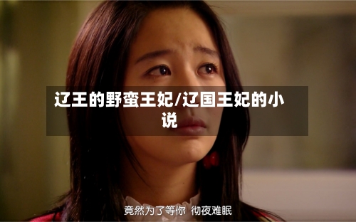 辽王的野蛮王妃/辽国王妃的小说-第2张图片