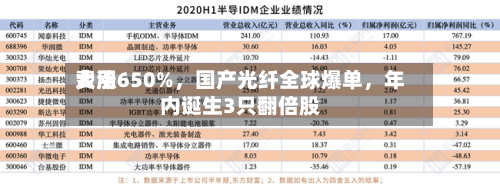 费用大涨650%，国产光纤全球爆单，年内诞生3只翻倍股-第3张图片