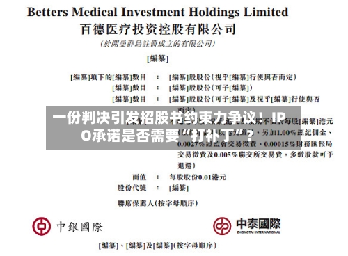 一份判决引发招股书约束力争议！IPO承诺是否需要“打补丁	”？-第1张图片