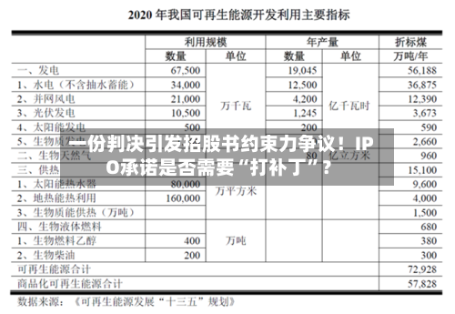 一份判决引发招股书约束力争议！IPO承诺是否需要“打补丁”？-第2张图片