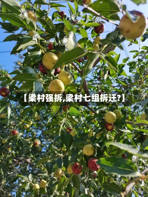 【梁村强拆,梁村七组拆迁?】-第1张图片