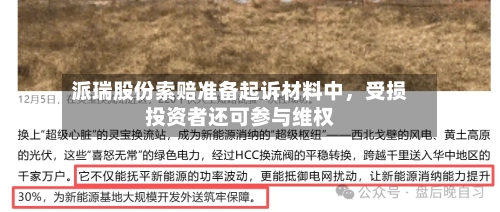 派瑞股份索赔准备起诉材料中，受损投资者还可参与维权-第1张图片