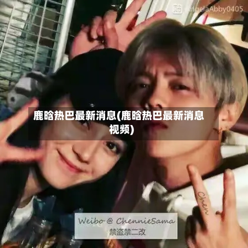 鹿晗热巴最新消息(鹿晗热巴最新消息视频)-第3张图片